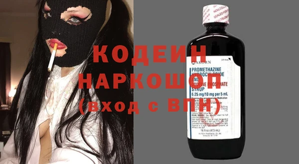 гидра Бородино