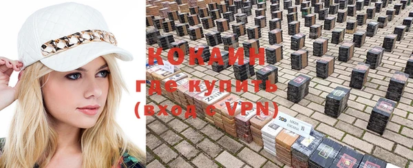 сатива Богданович