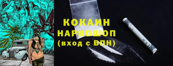 сатива Богданович