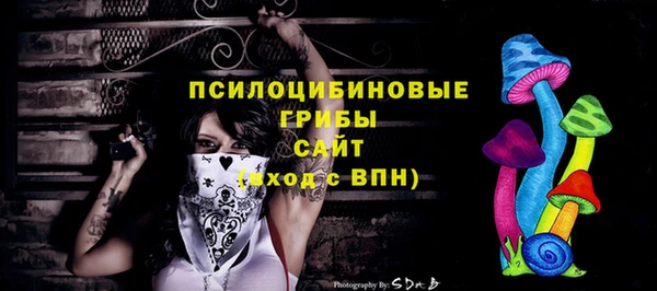 сатива Богородск