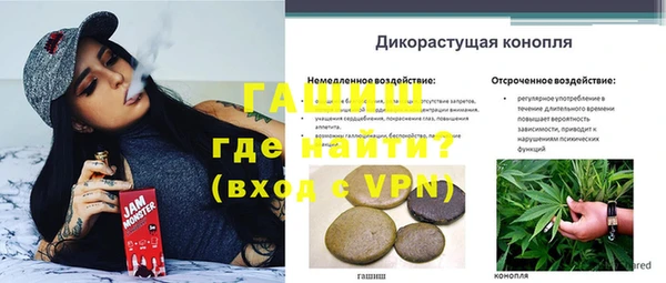 гидра Бородино
