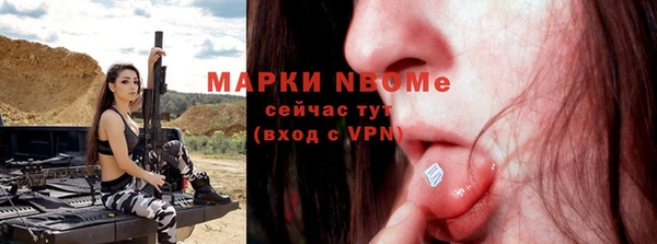 гидра Бородино